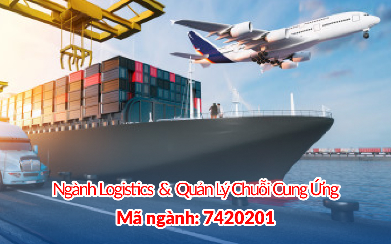 Vì sao nên học ngành Logistics và Quản lý chuỗi cung ứng tại Đại học Quốc tế Hồng Bàng?