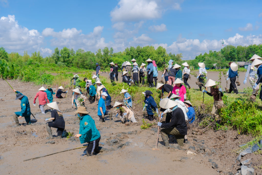 HIU05094 Sinh viên Ngôn ngữ Nhật HIU tham gia dự án trồng cây gây rừng cùng Hội Nam Du Nhật Bản