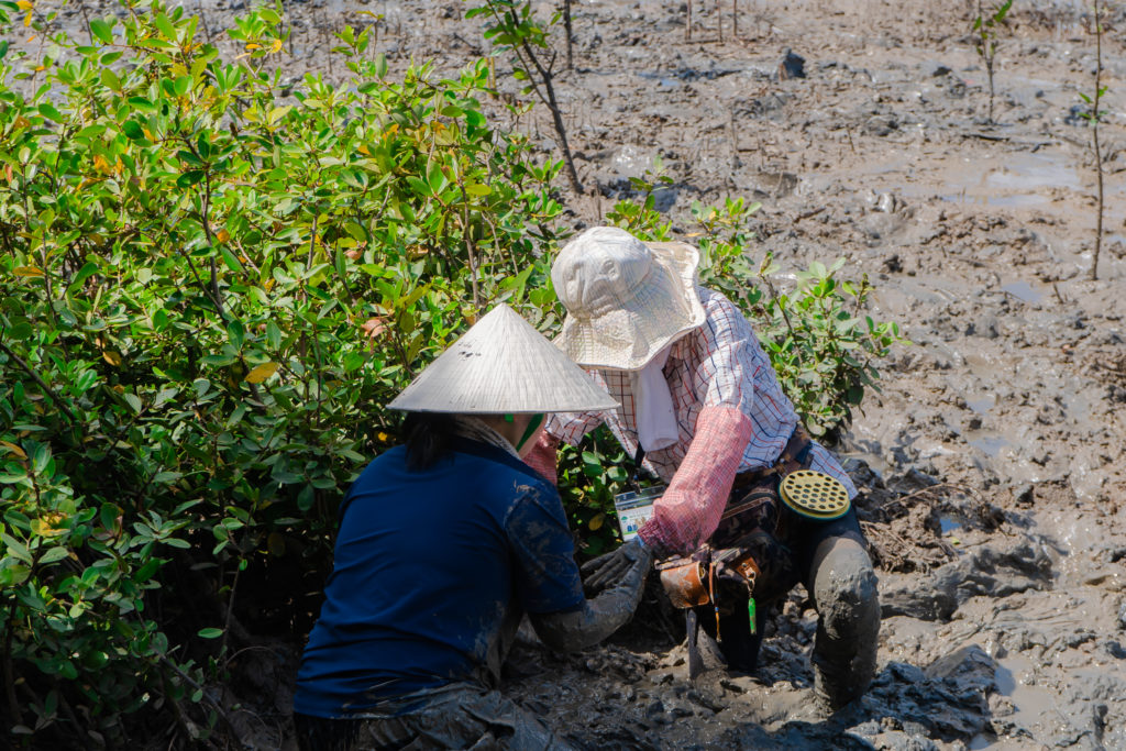 HIU05114 Sinh viên Ngôn ngữ Nhật HIU tham gia dự án trồng cây gây rừng cùng Hội Nam Du Nhật Bản