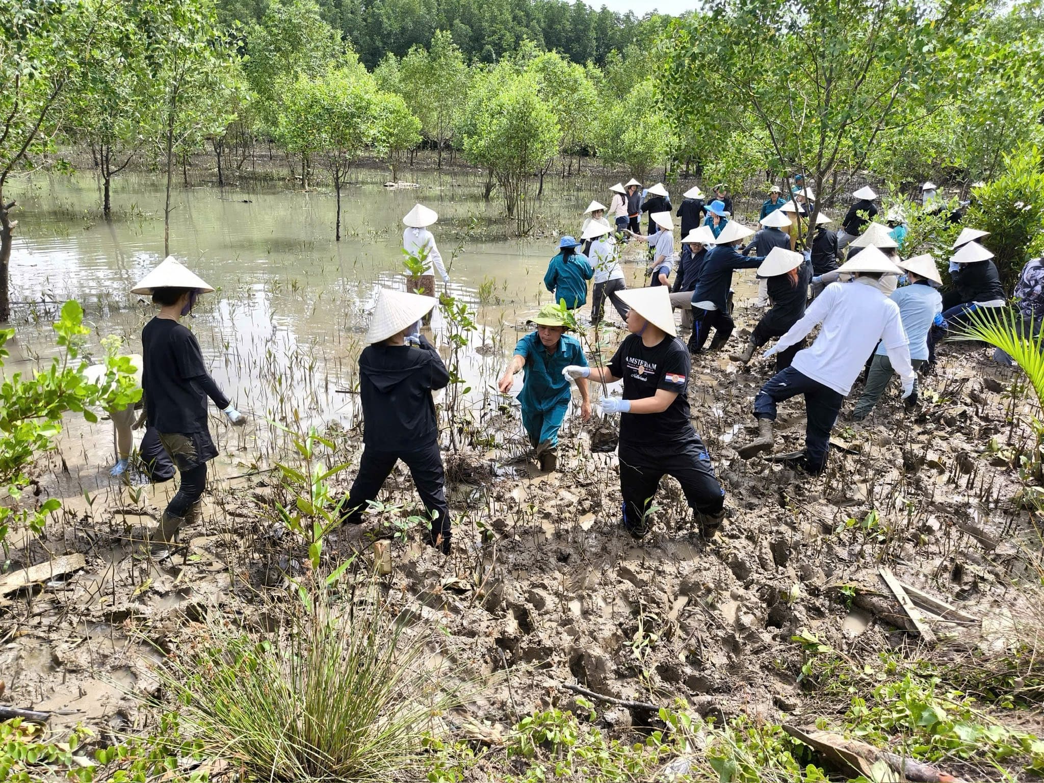 HOẠT ĐỘNG GIAO LƯU & TRỒNG RỪNG NGẬP MẶN – HỘI NAM DU 2025 Phần 1