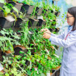 Người thầy không bắt đầu bài giảng bằng kiến thức, mà bằng một khu vườn