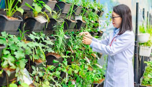 Người thầy không bắt đầu bài giảng bằng kiến thức, mà bằng một khu vườn