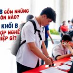 Khối B gồm những môn nào? Học khối B phù hợp nghề nghiệp gì?
